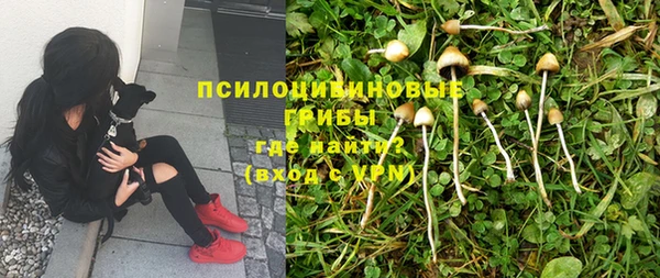 прущий лед Алексеевка